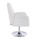 Lounge Chair Silver Base Clear White - 5400194