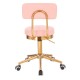 Επαγγελματικό σκαμπό αισθητικής και κομμωτικής Comfort Light Pink-Gold - 5400278